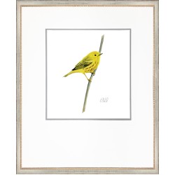 KS- SITTING BIRD 6